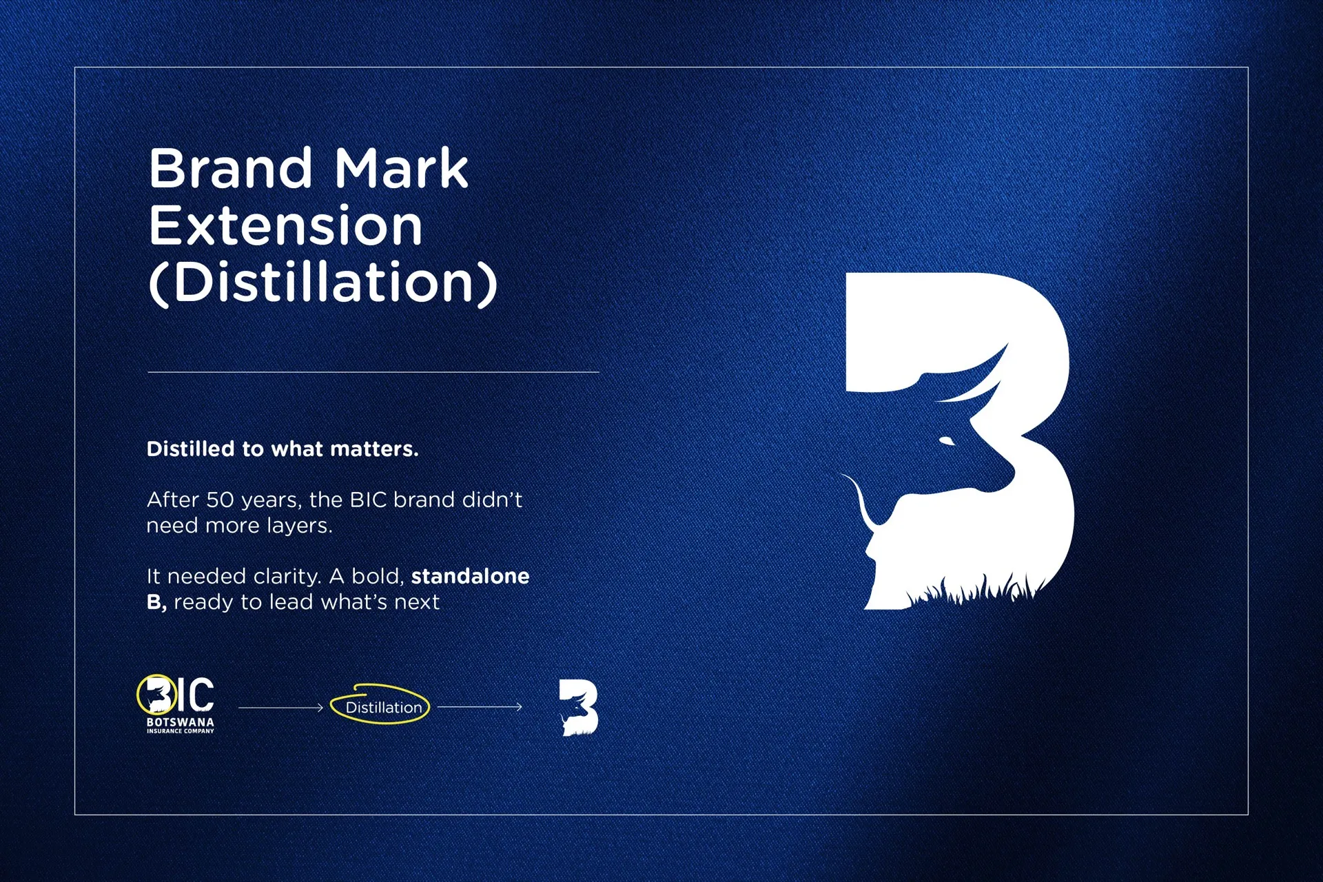 BIC brand refresh image 2