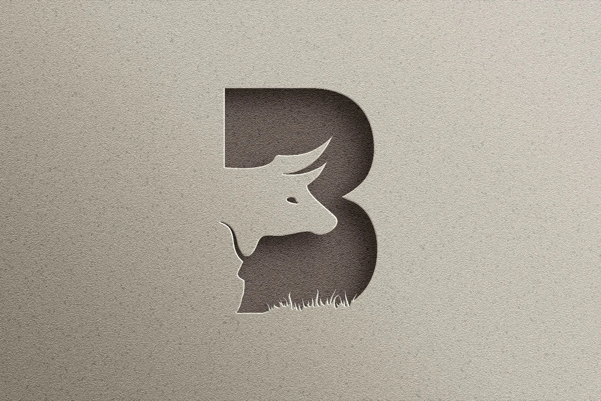 BIC brand refresh image 3