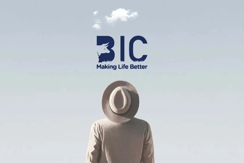 BIC Brand Refresh - Brand Development project