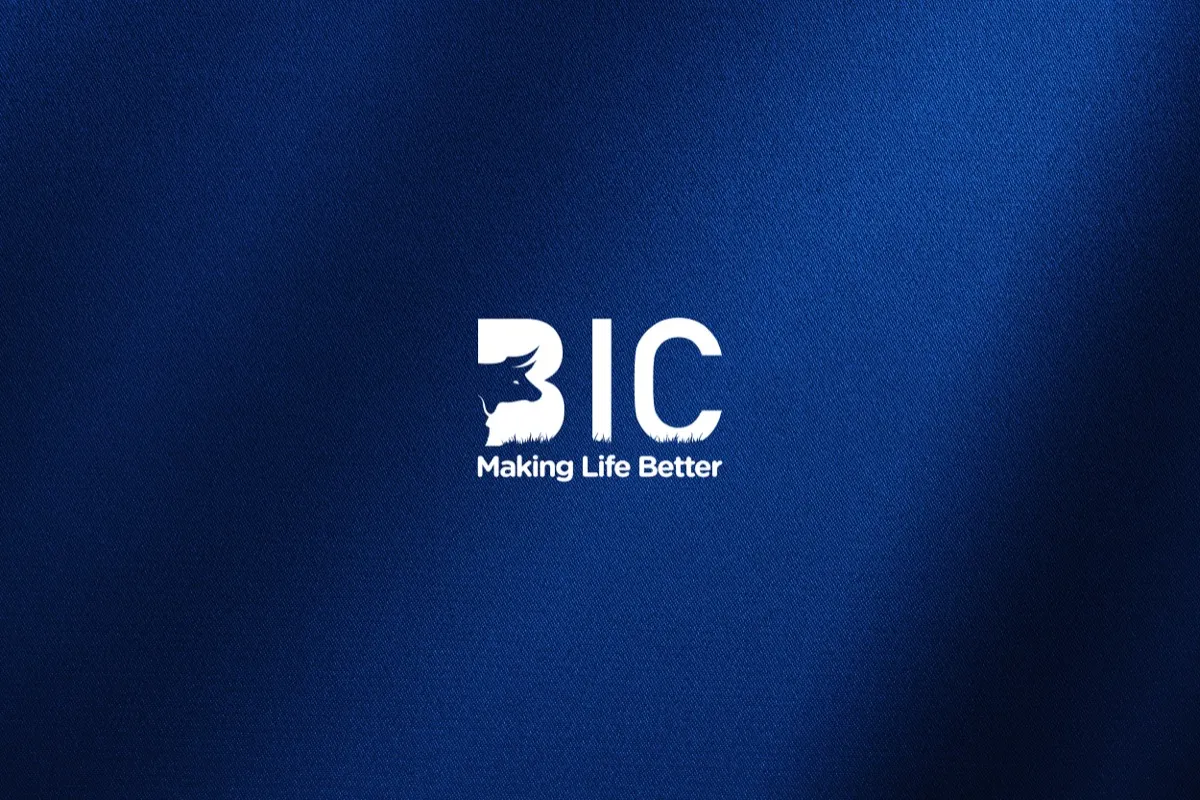 BIC Brand Refresh - Brand Development project