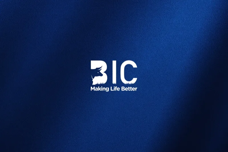 BIC Brand Refresh - brand-development project