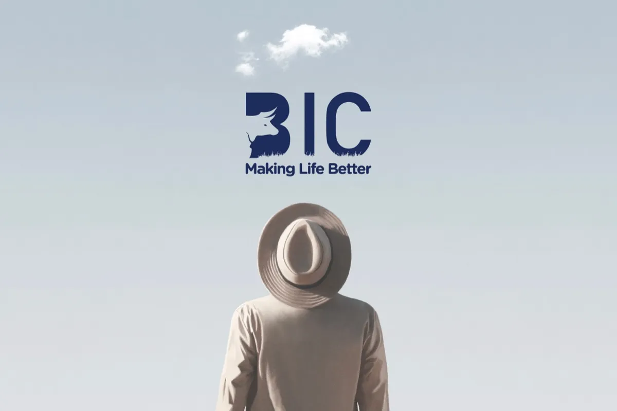 BIC Brand Refresh - Brand Development project