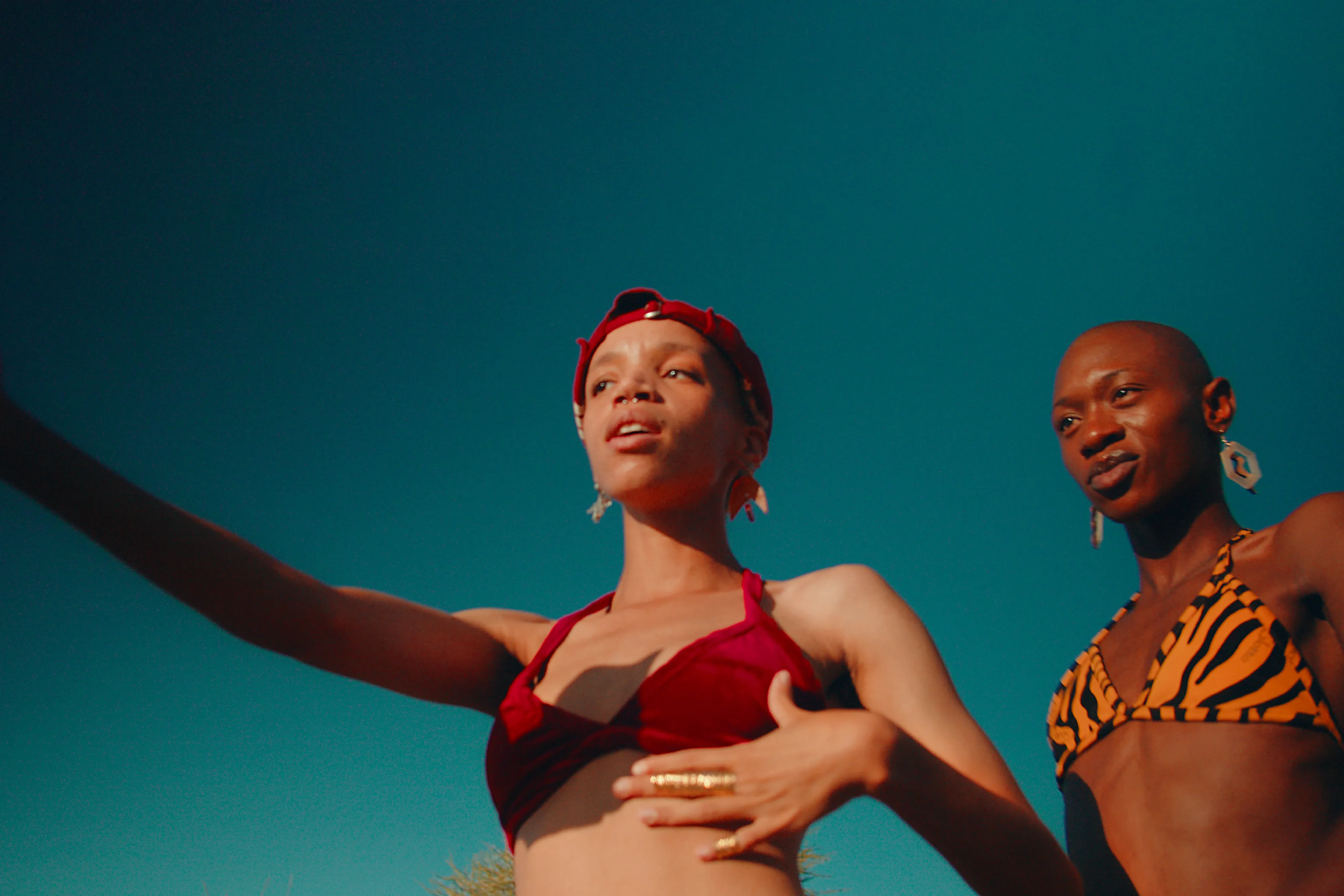 This Noble Land Watch Party